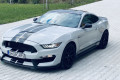 Ford-Mustang-GT350-SHELBY-8